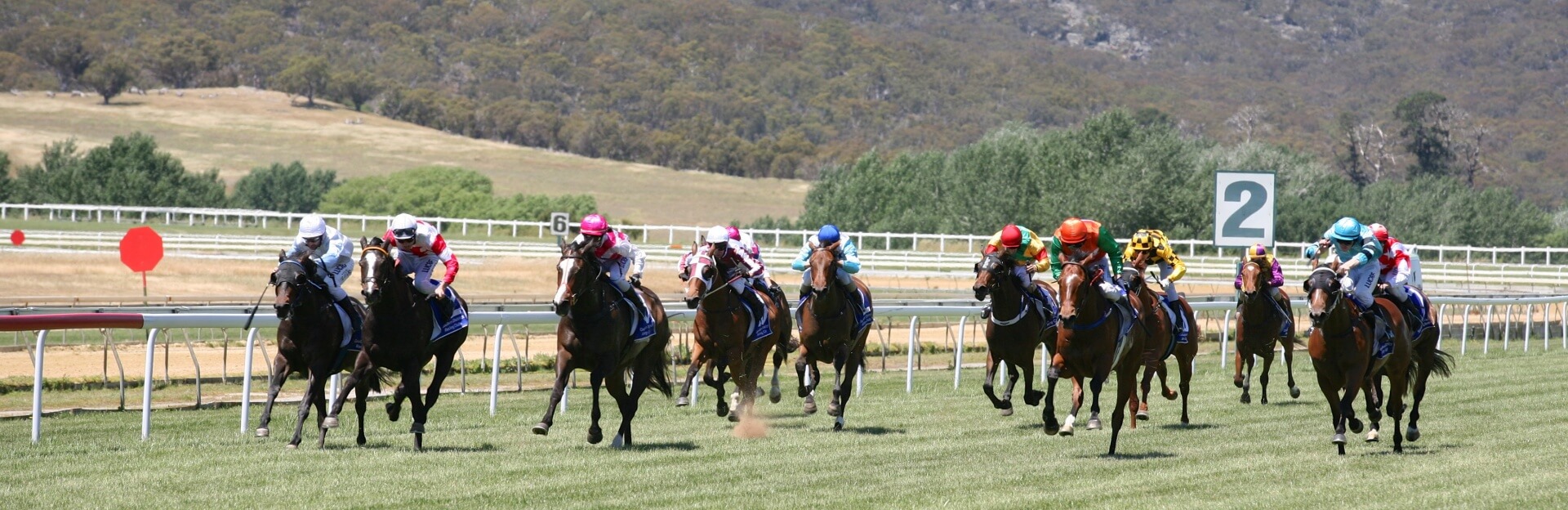 Goulburn and District Racing