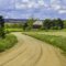 Lumley Rd 11 – Lauren McLaughlin Photography