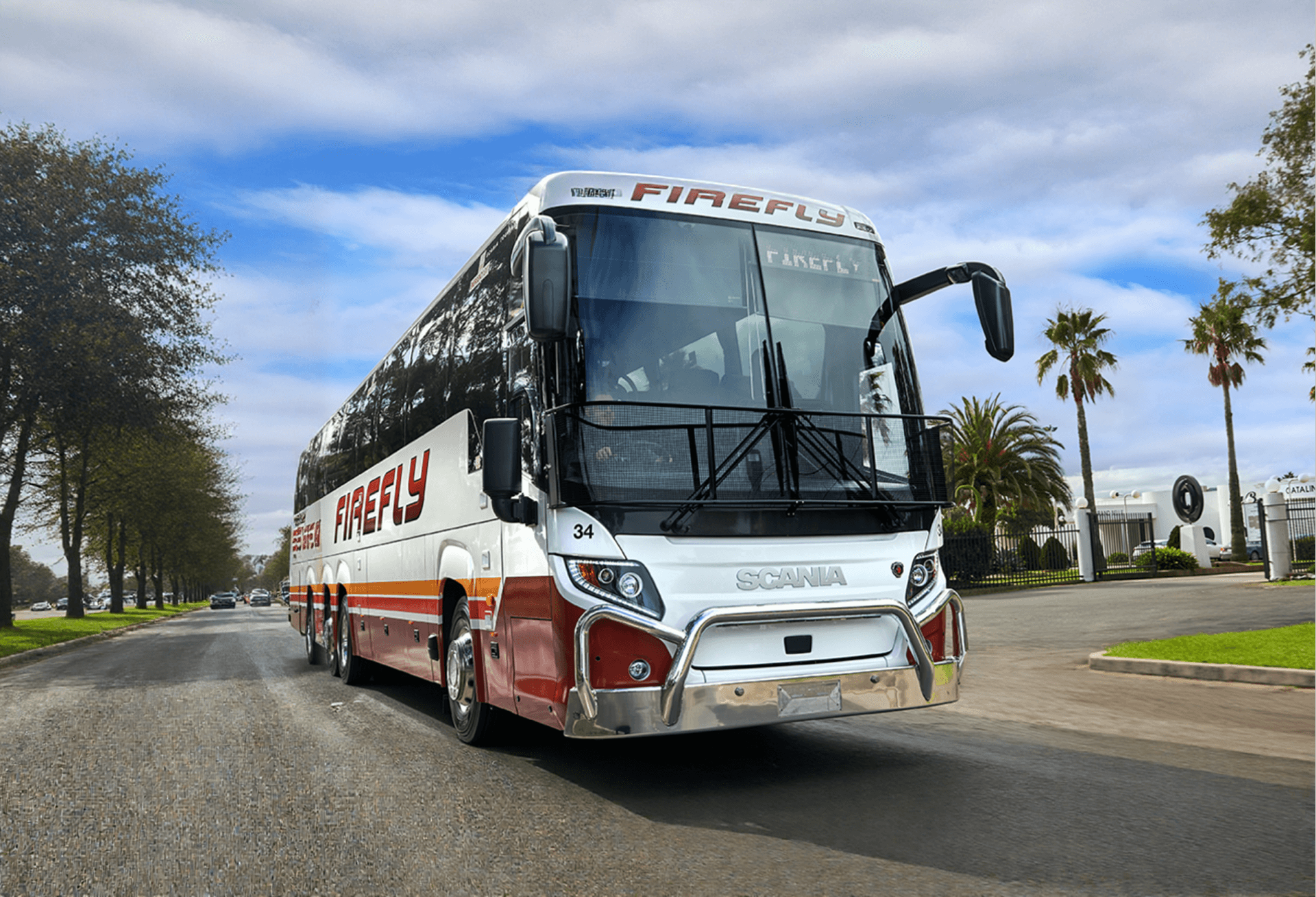 firefly-coaches